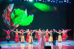 圍場(chǎng)伊遜社區(qū)成功舉辦 ‘貫徹十九大 黨群共建和諧社區(qū) 迎新春文藝匯演’