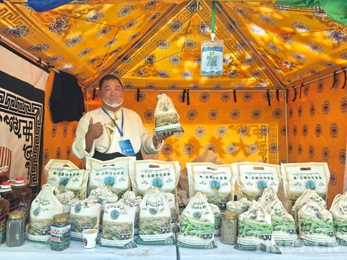 熱貢文化耀拉薩，青藏攜手譜新篇——熱貢文化推介會暨文藝演出在拉薩成功舉辦